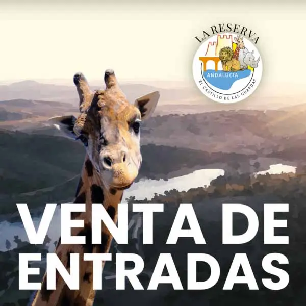 Entrada Zoo Adultos