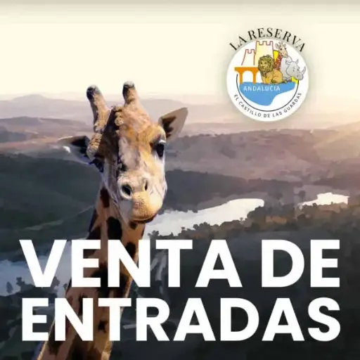 [Entrada Reserva Adultos] Entrada Zoo Adultos