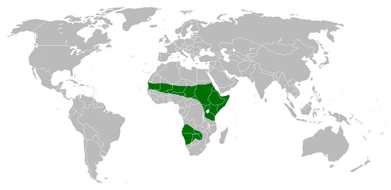 MAPA DISTRIBUCION AVESTRUZ, La Reserva Del Castillo De Las Guardias