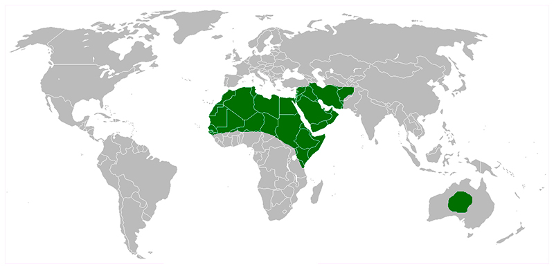 MAPA DISTRIBUCIÓN DROMEDARIO, La Reserva Del Castillo De Las Guardias