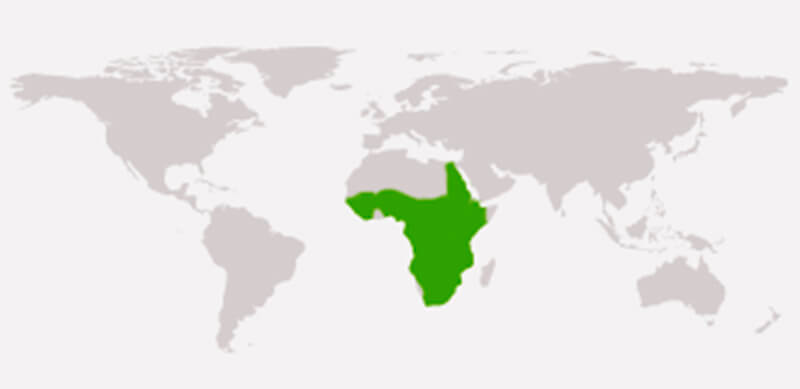 MAPA DISTRIBUCIÓN HIPOPÓTAMO, La Reserva Del Castillo De Las Guardias