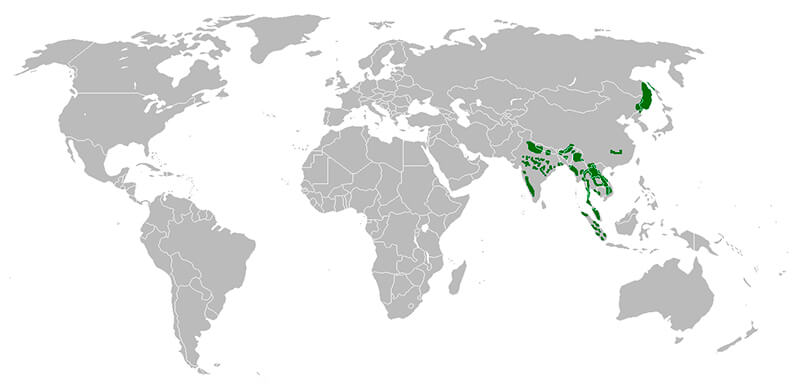 MAPA DISTRIBUCIÓN TIGRE DE BENGALA, La Reserva Del Castillo De Las Guardias